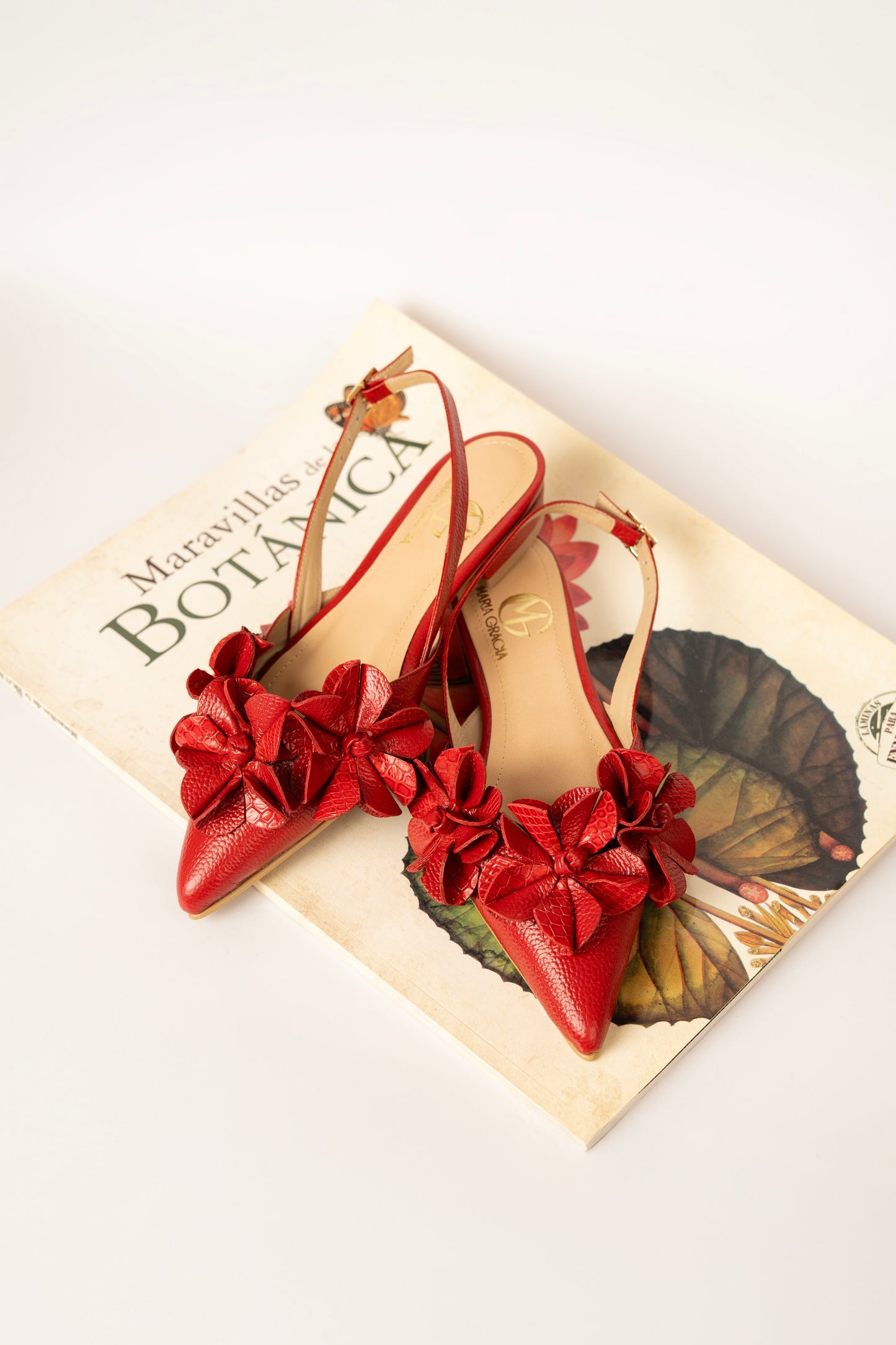 Flat Shoes Camelia